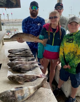 Black Drum, Redfish fishing in Galveston, Texas