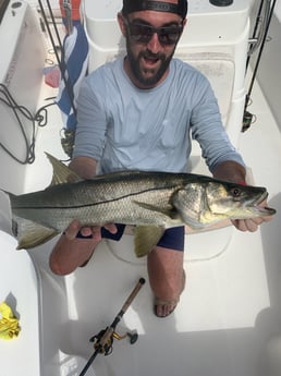 Snook fishing in Sarasota, Florida