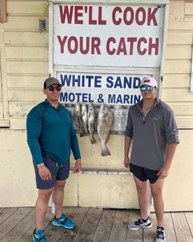 Speckled Trout / Spotted Seatrout fishing in Port Isabel, Texas