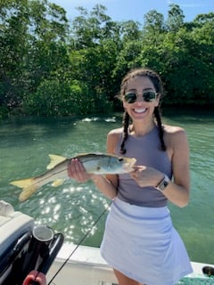 Snook Fishing in Key Largo, Florida