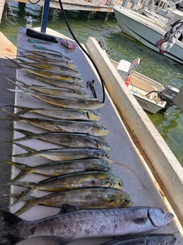 Fishing in Key Biscayne, Florida