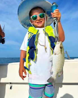 Mangrove Snapper Fishing in Islamorada, Florida