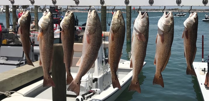 Redfish fishing in Rockport, Texas