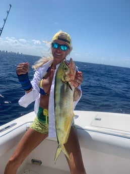 Mahi Mahi Fishing in Palm Beach, Florida