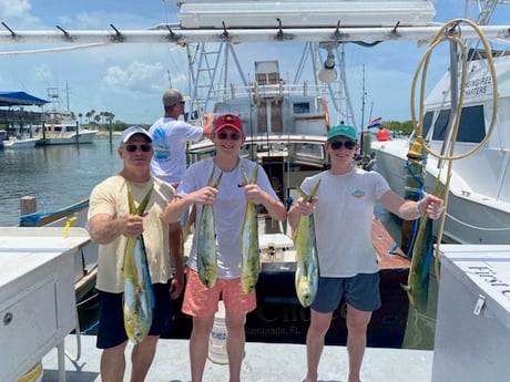 Mahi Mahi / Dorado fishing in Islamorada, Florida