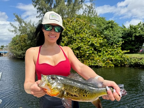 Fishing in Miami, Florida