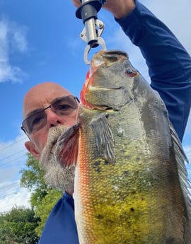 Fishing in West Palm Beach, Florida