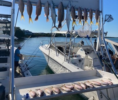 Mangrove Snapper, Spanish Mackerel, Yellowtail Snapper Fishing in Marathon, Florida