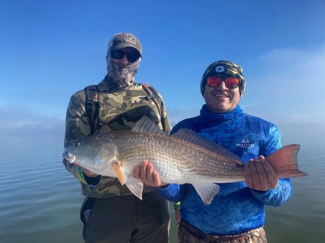 Redfish Fishing in Corpus Christi, Texas