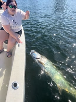 Tarpon fishing in Miami Beach, Florida, USA