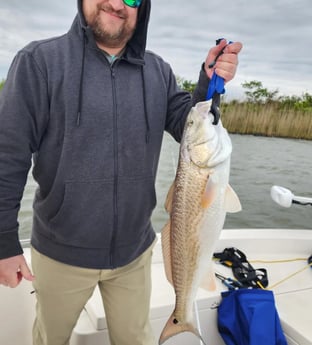 Redfish Fishing in Galveston, Texas