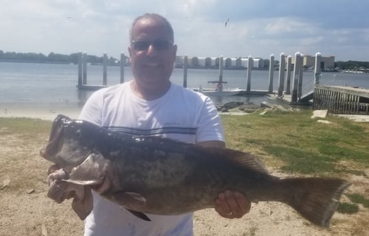 Gag Grouper fishing in Corpus Christi, Texas