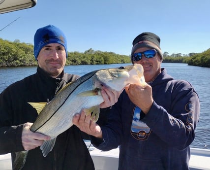 Snook Fishing in Jupiter, Florida