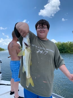 Largemouth Bass fishing in Clearwater, Florida