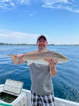 Redfish fishing in Orange Beach, Alabama