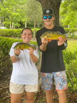 Fishing in Davie, Florida