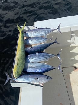 Fishing in Pompano Beach, Florida