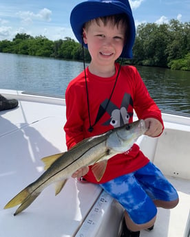 Snook fishing in Clearwater, Florida