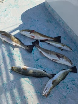 Fishing in Aransas Pass, Texas