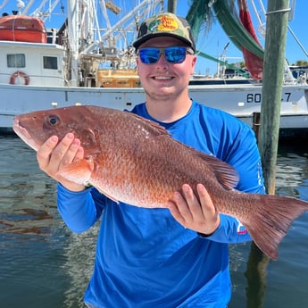 Mangrove Snapper fishing in Panama City, Florida