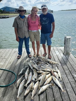 Black Drum, Speckled Trout / Spotted Seatrout fishing in Port O&#039;Connor, Texas