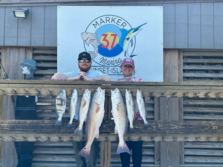 Black Drum, Redfish, Speckled Trout Fishing in Corpus Christi, Texas