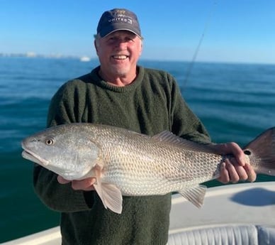 Redfish Fishing in Sarasota, Florida