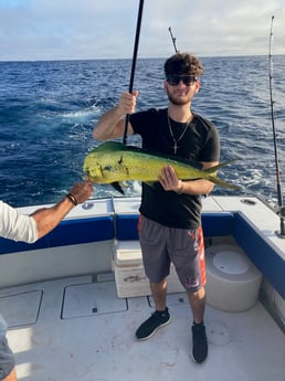 Mahi Mahi / Dorado fishing in West Palm Beach, Florida