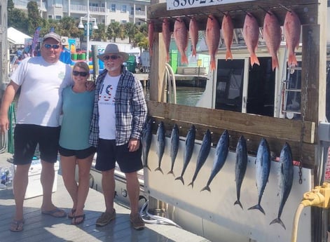 Little Tunny / False Albacore, Red Snapper Fishing in Destin, Florida