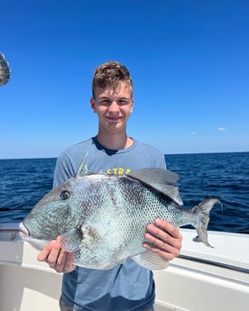 Triggerfish Fishing in Santa Rosa Beach, Florida