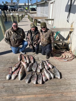 Black Drum, Redfish fishing in Port O&#039;Connor, Texas