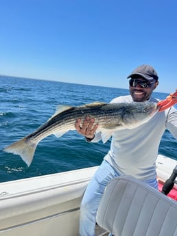 Fishing in Dennis, Massachusetts