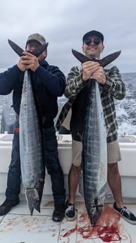 Wahoo Fishing in Venice, Louisiana