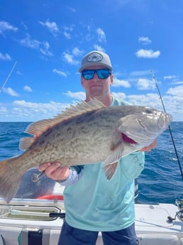 Gag Grouper Fishing in Clearwater, Florida