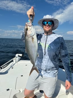 Fishing in Panama City, Florida