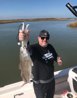 Redfish fishing in League City, Texas