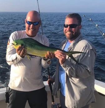 Mahi Mahi / Dorado Fishing in Pompano Beach, Florida