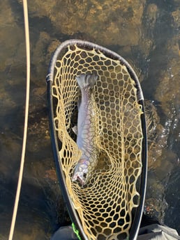 Fishing in Broken Bow, Oklahoma