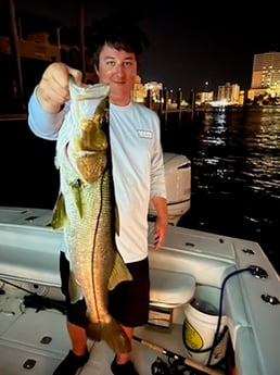 Snook fishing in Fort Lauderdale, Florida