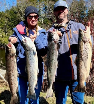 Brown Trout Fishing in Verona Beach, New York