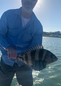 Black Drum fishing in Corpus Christi, Texas