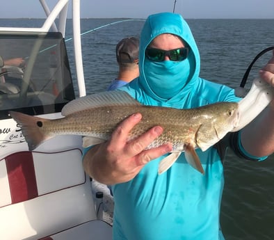 Redfish fishing in South Padre Island, Texas