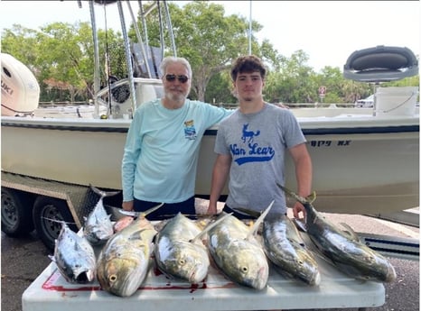 Jack Crevalle Fishing in St. Petersburg, Florida