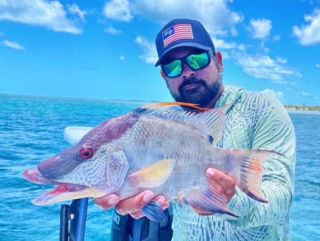 Mutton Snapper fishing in Tavernier, Florida