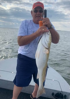 Redfish fishing in Port O&#039;Connor, Texas