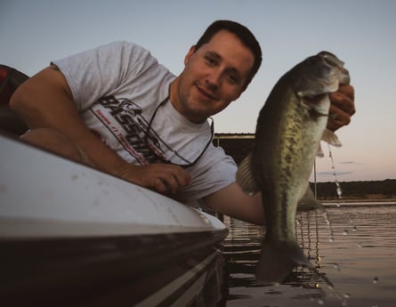 Largemouth Bass fishing in Austin, Texas