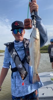 Speckled Trout / Spotted Seatrout fishing in Matagorda, Texas