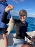 Mangrove Snapper Fishing in Marathon, Florida