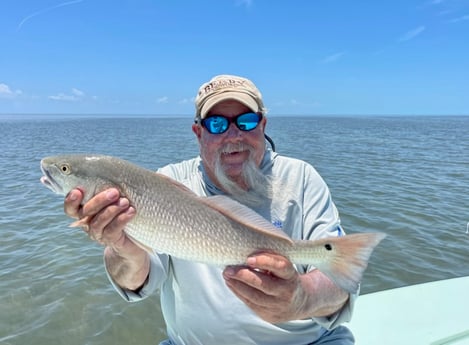 Redfish Fishing in Islamorada, Florida