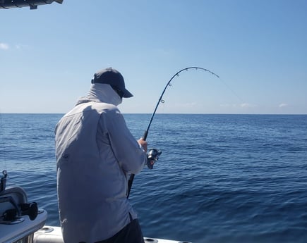 Fishing in Steinhatchee, Florida